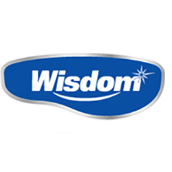 wisdom logo